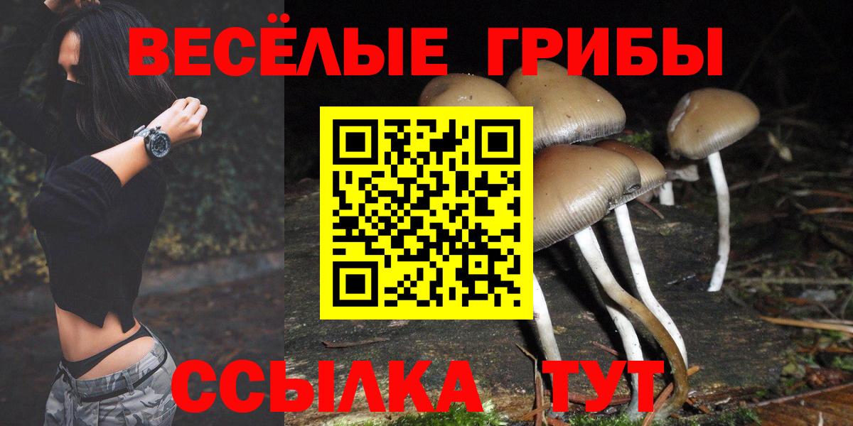 Анжеро-Судженск  Псилоцибиновые грибы Magic Shrooms  Вход с VPN 