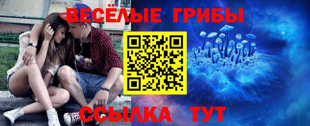Галлюциногенные грибы Magic Shrooms Анжеро-Судженск